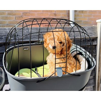 Wendy zit heerlijk in haar mand