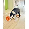 Gertrude
