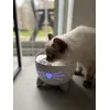Een must voor elke binnenkat