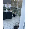 Cookie und das Netz