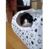Nuni in tunnel 