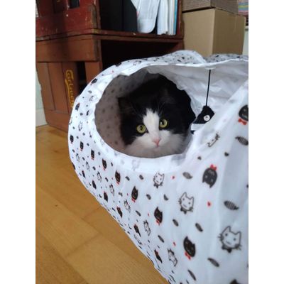 Nuni in tunnel