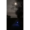 Honden lamp in het maanlicht 