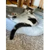 Warm und zum Lang machen