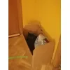 TIZON RECIBIENDO SU ARENA QUE LE ENCANTAAA
