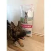 Working line shepherd