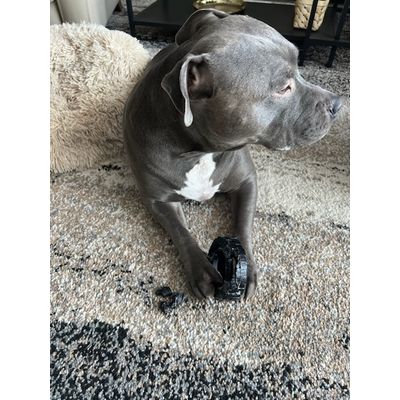 Drako