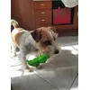 La mia Kida adora questo gioco