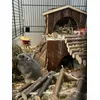 Hamster huisje
