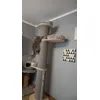 Xxl