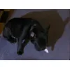Kitti