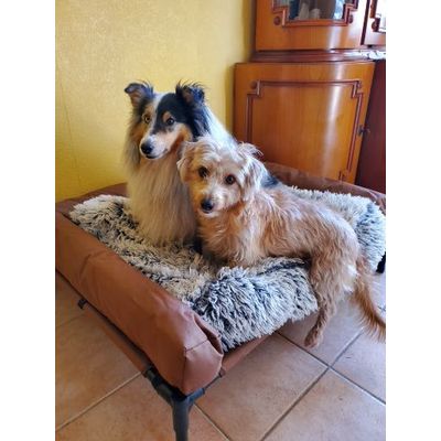 Mes loulouttes