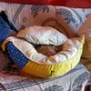 Arancina 