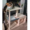 Molly und das neue Bora Bora 