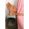 Weasley con la sua nuova toilette