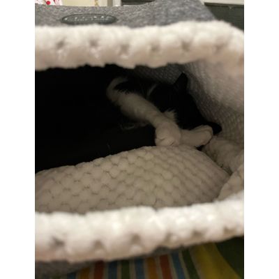 Sonno e tante fusa