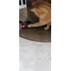 Bionda 15 anni