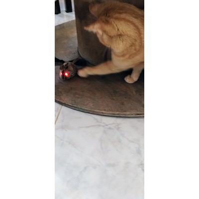 Bionda 15 anni