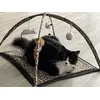 Os Gatos adoram