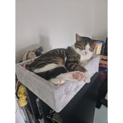 Neuer Lieblingsplatz