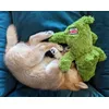 Shiba