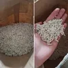 Cat litter