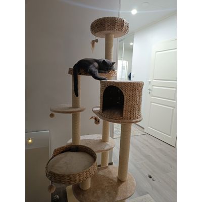 He loves it