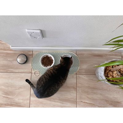 trixie miska