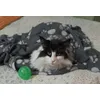 Eloisa e la sua coperta