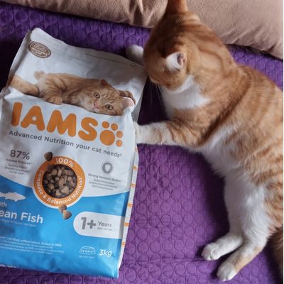 iams cu peste