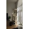 On adore cet arbre