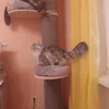 zu kleine Betten