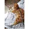 My cat likes it 