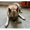 Isla loves pizzle 