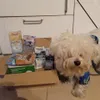 Confezioni di prova