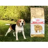 Royal Canin Beagle