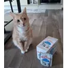 Royal canin indoor sterilised 