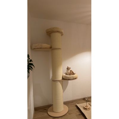 Coco ist sehr zufrieden