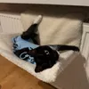 Freja 5 min po zamontowaniu 
