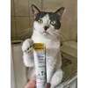 Taurine