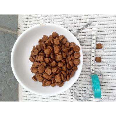 Grosses croquettes de 1 cm chat adult