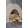 Kattenhol en electrische deken