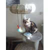 Flora ist begeistert