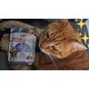 Mon Loki et ses sachets repas 