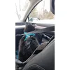 Kungen i bilen