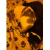 Cleo and Pesto