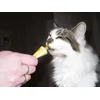 Jilly Loves her Cheese Paste