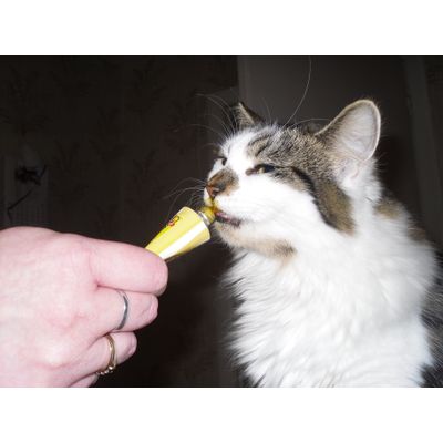 Jilly Loves her Cheese Paste