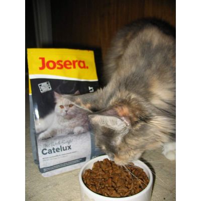 Catelux