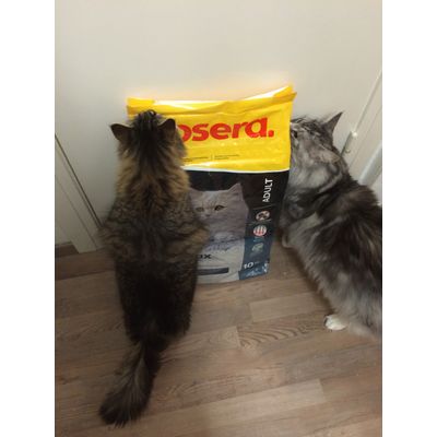 Nero und Nuri